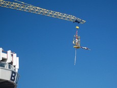 Bungee-Springer_1.JPG